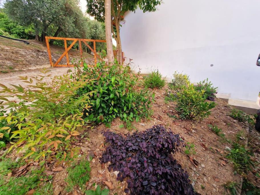 Appartamento Ombra بونتاسيفي المظهر الخارجي الصورة